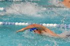Swimming vs Bentley  Wheaton College Swimming & Diving vs Bentley College. - Photo by Keith Nordstrom : Wheaton, Swimming & Diving